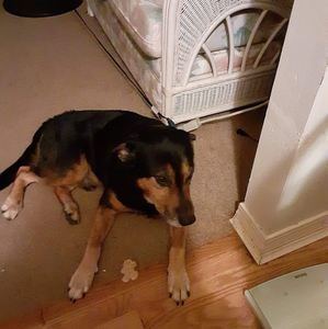 Meet your Posher, Mike